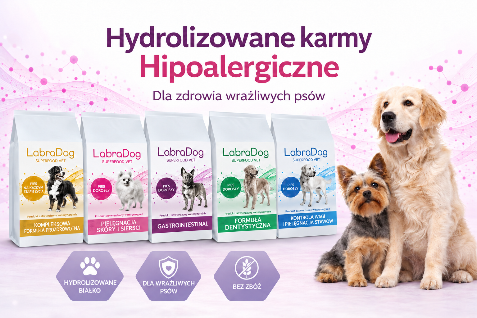 Baner karmy dla psów z napisem Hipoalergiczne